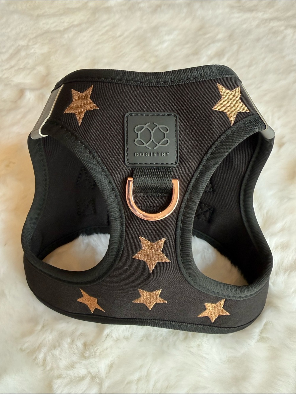 Dogistry Soho Harness - Rock Star - Picture 7 of 15